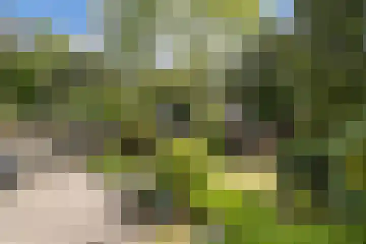 de Ruyterlaan 7 Doorn thumbnail 32