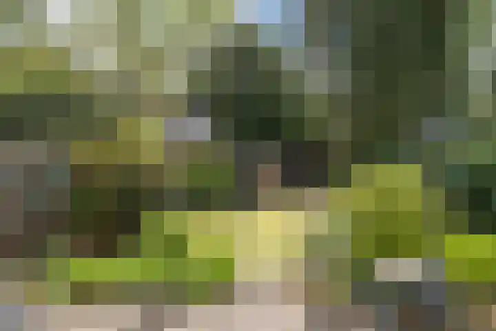 de Ruyterlaan 7 Doorn thumbnail 33