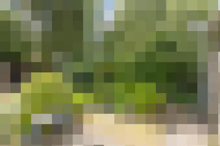 de Ruyterlaan 7 Doorn thumbnail 34