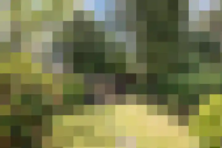 de Ruyterlaan 7 Doorn thumbnail 35