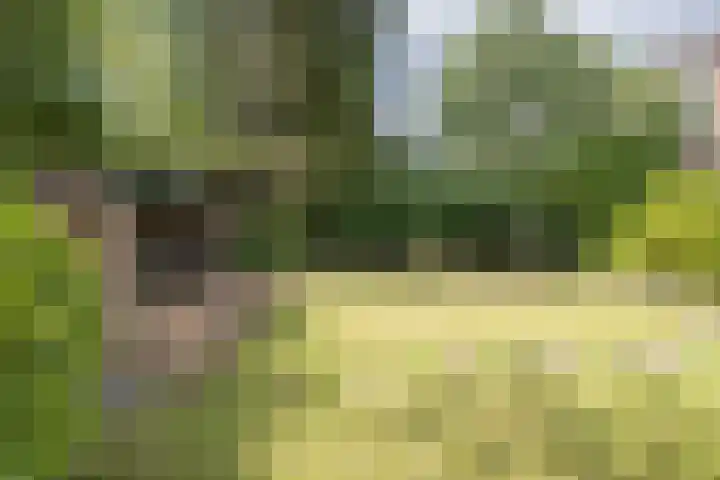 de Ruyterlaan 7 Doorn thumbnail 36