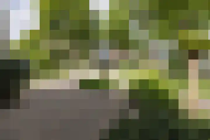 de Ruyterlaan 7 Doorn thumbnail 37