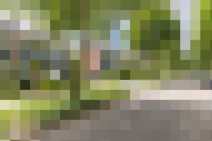 de Ruyterlaan 7 Doorn thumbnail 39