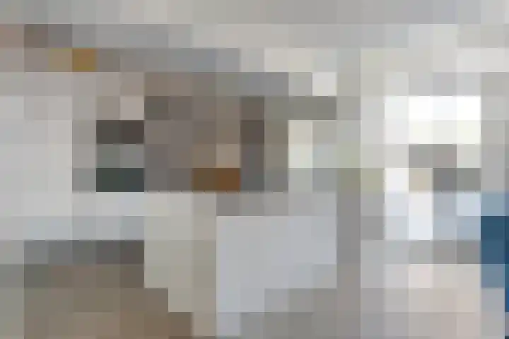 De Ruyterplein 4 Zwolle thumbnail 11