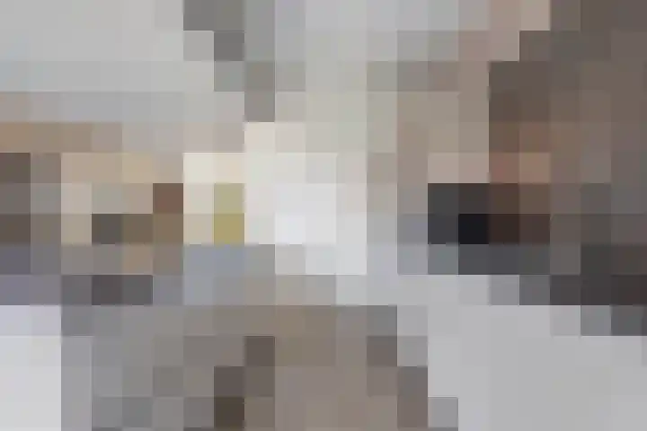 De Ruyterplein 4 Zwolle thumbnail 13