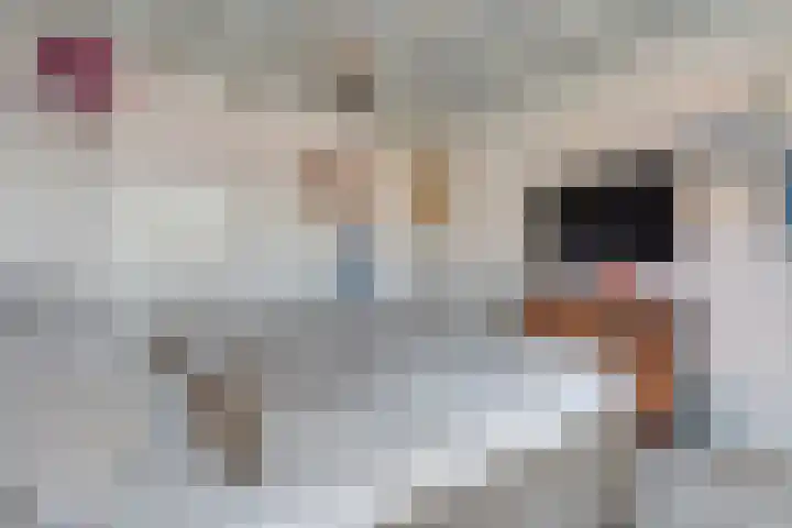 De Ruyterplein 4 Zwolle thumbnail 19