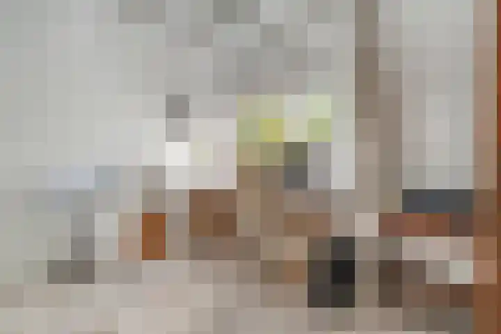 De Ruyterplein 4 Zwolle thumbnail 24