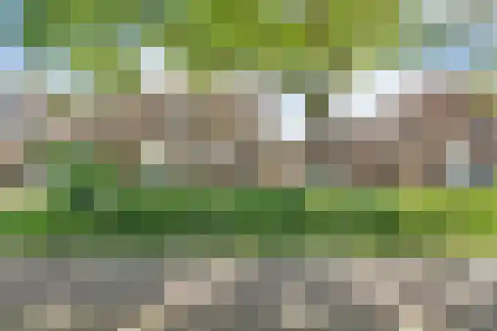 De Ruyterplein 4 Zwolle thumbnail 43