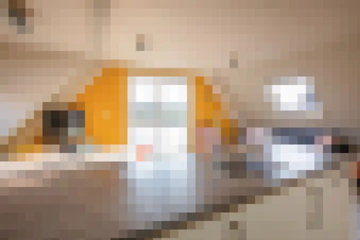 De Ruyterstraat 1 A Oudeschild thumbnail 20