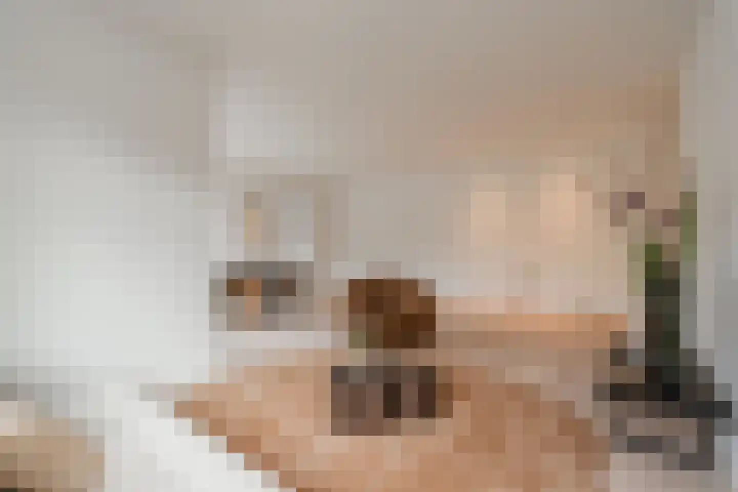 De Ruyterstraat 1 c Huizen thumbnail 10