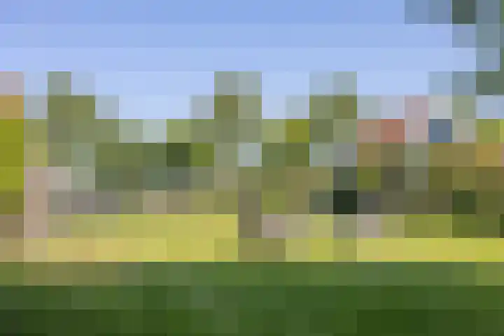 De Ruyterstraat 106 Oudeschild thumbnail 41