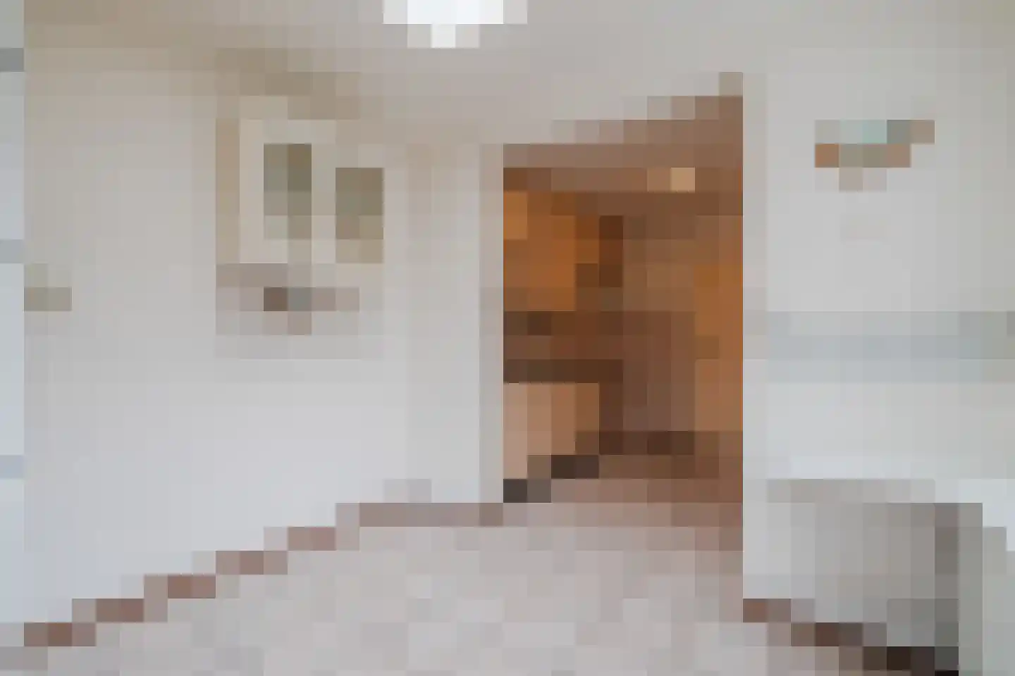 De Ruyterstraat 14 Nijkerk thumbnail 12