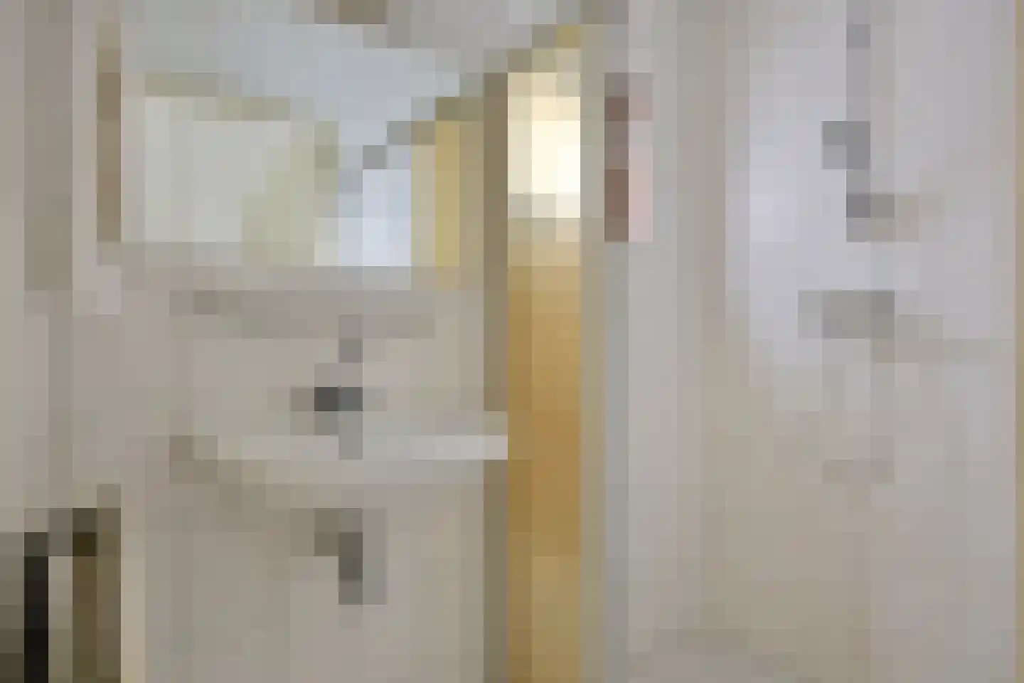 De Ruyterstraat 15 Capelle aan den IJssel thumbnail 17