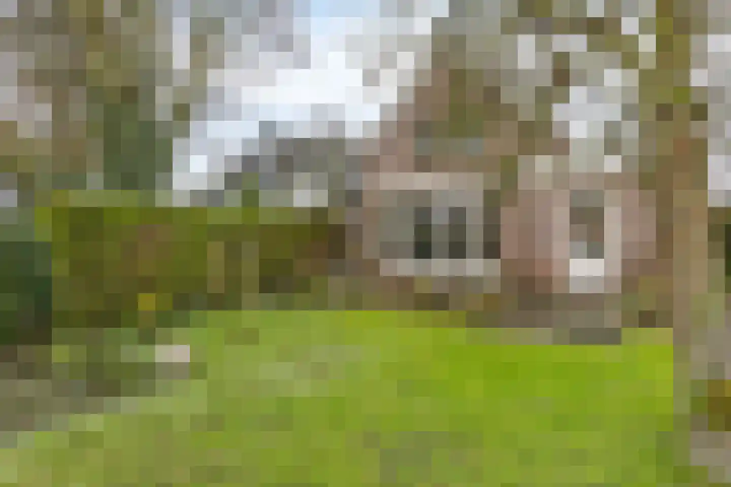 De Ruyterstraat 15 Capelle aan den IJssel thumbnail 30