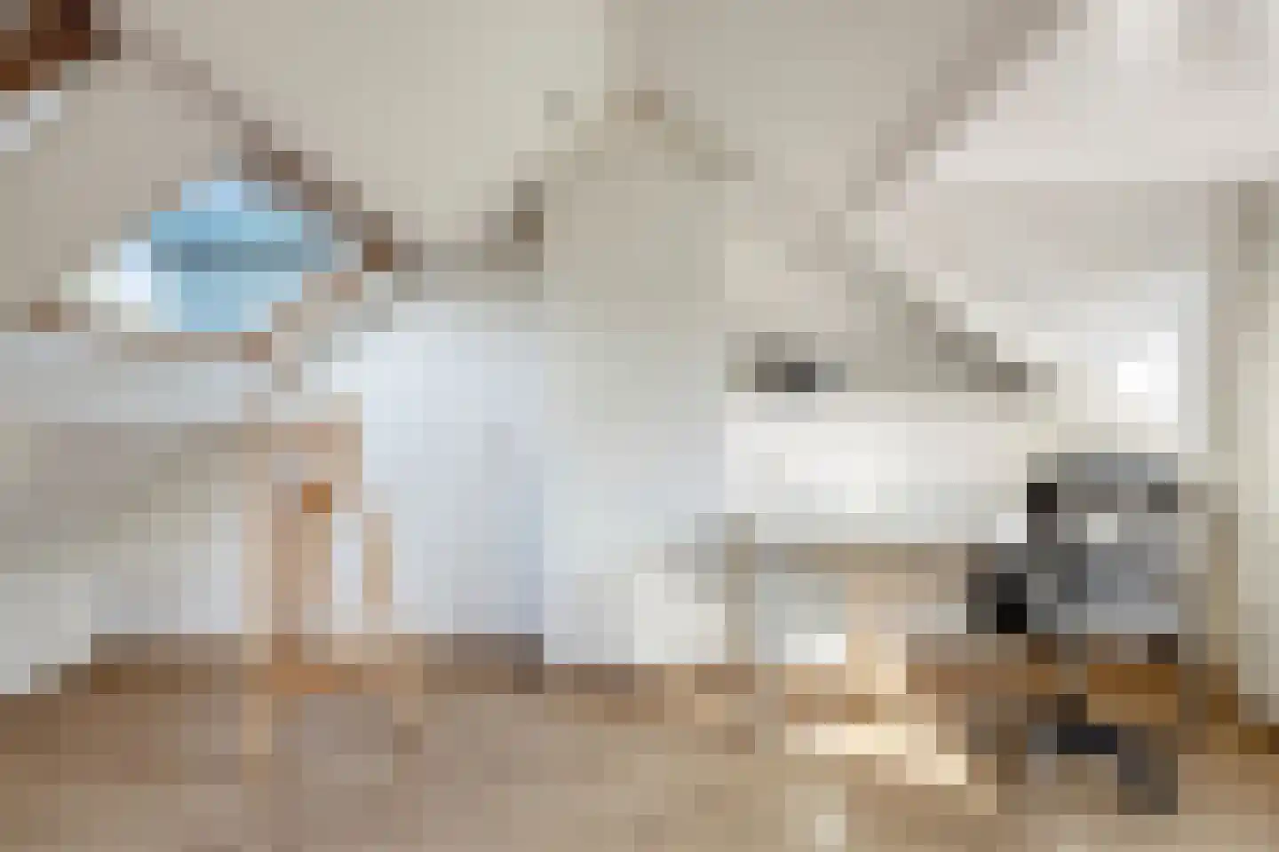De Ruyterstraat 15 De Meern thumbnail 34