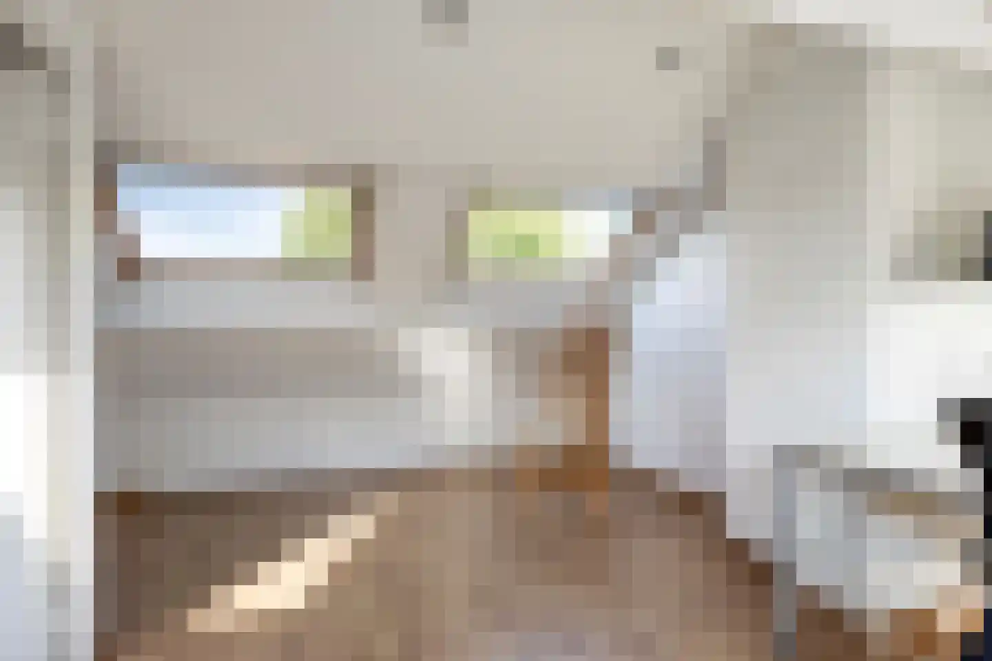 De Ruyterstraat 15 De Meern thumbnail 35