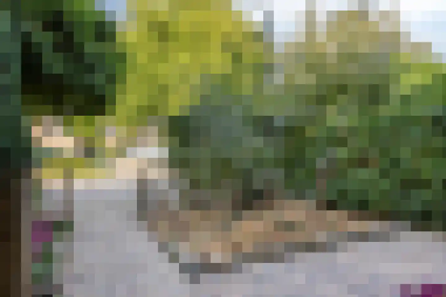 De Ruyterstraat 15 De Meern thumbnail 9