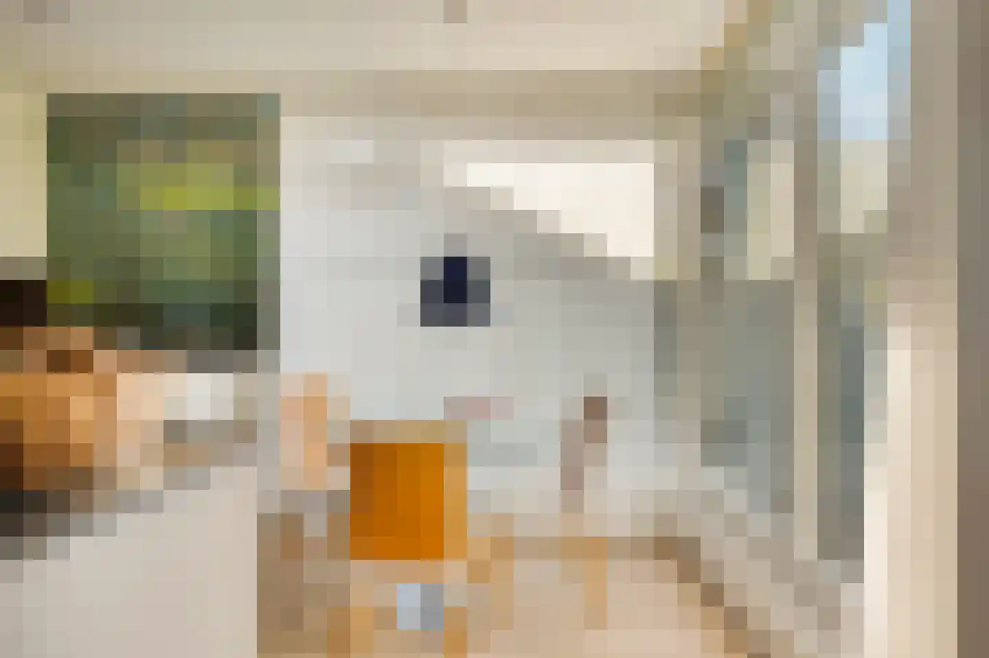 de Ruyterstraat 17 Heinenoord thumbnail 20