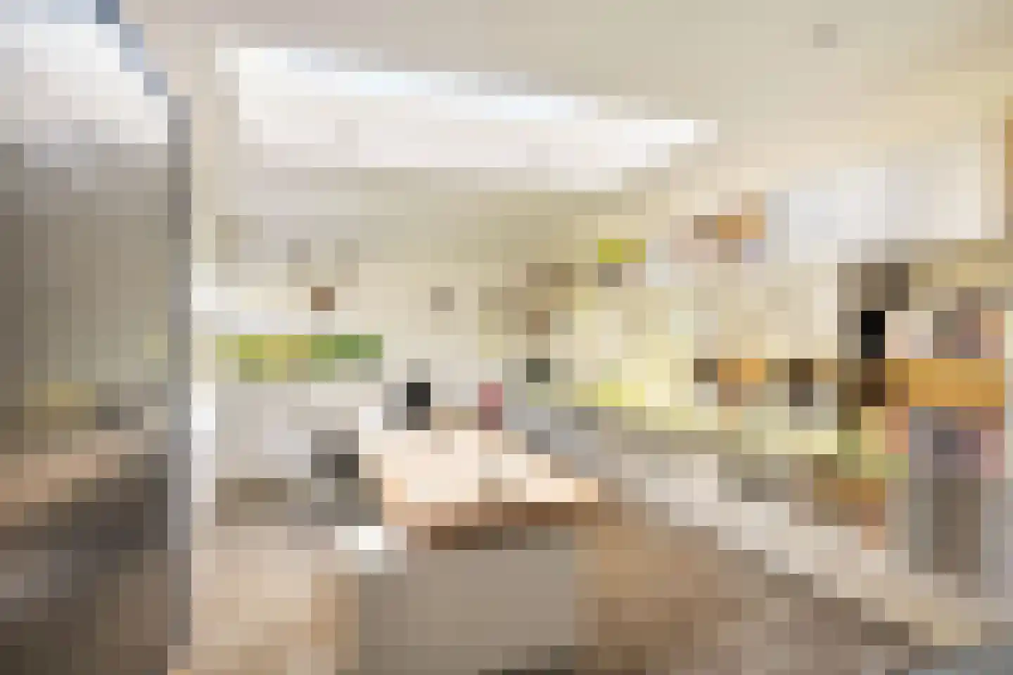 de Ruyterstraat 17 Heinenoord thumbnail 26