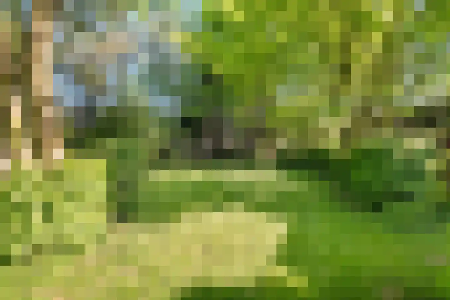 de Ruyterstraat 17 Heinenoord thumbnail 33
