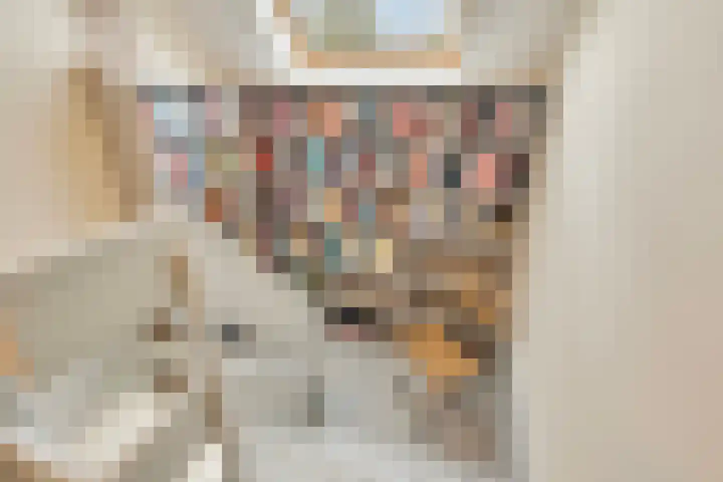 de Ruyterstraat 17 Heinenoord thumbnail 41