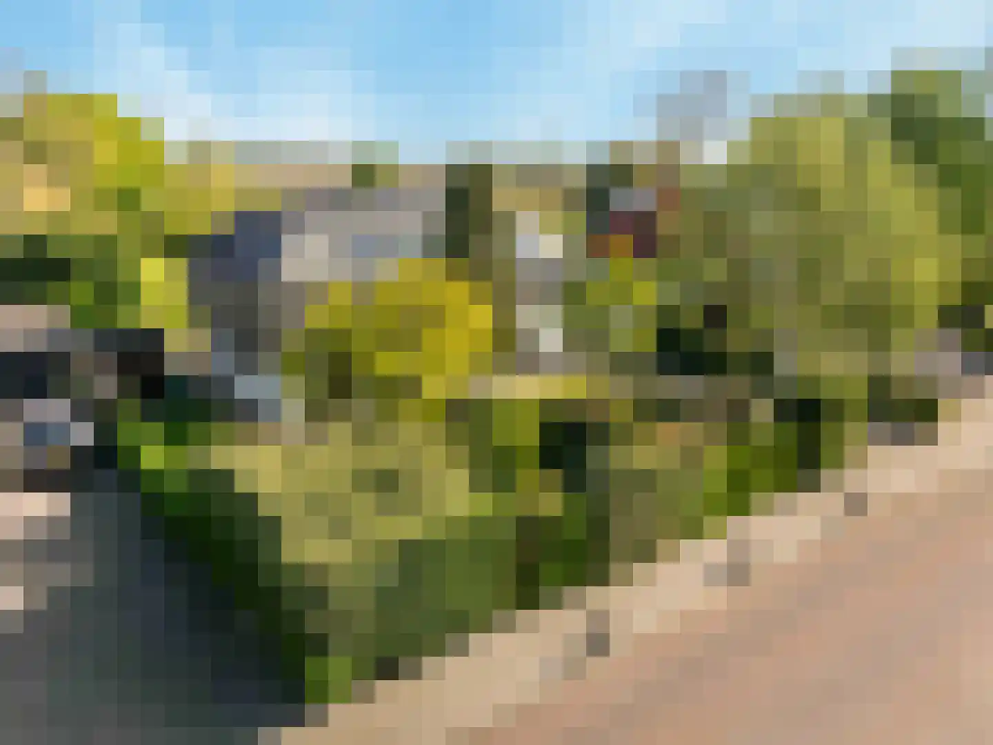 de Ruyterstraat 17 Heinenoord thumbnail 56