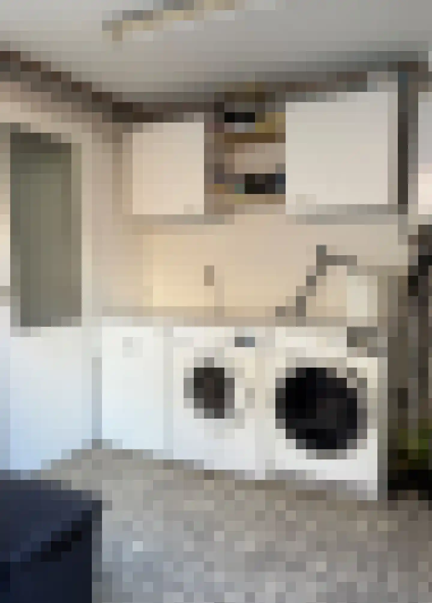 De Ruyterstraat 19 Oudeschild thumbnail 12