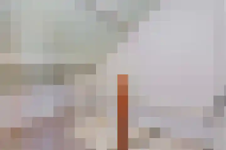 De Ruyterstraat 20 De Meern thumbnail 25