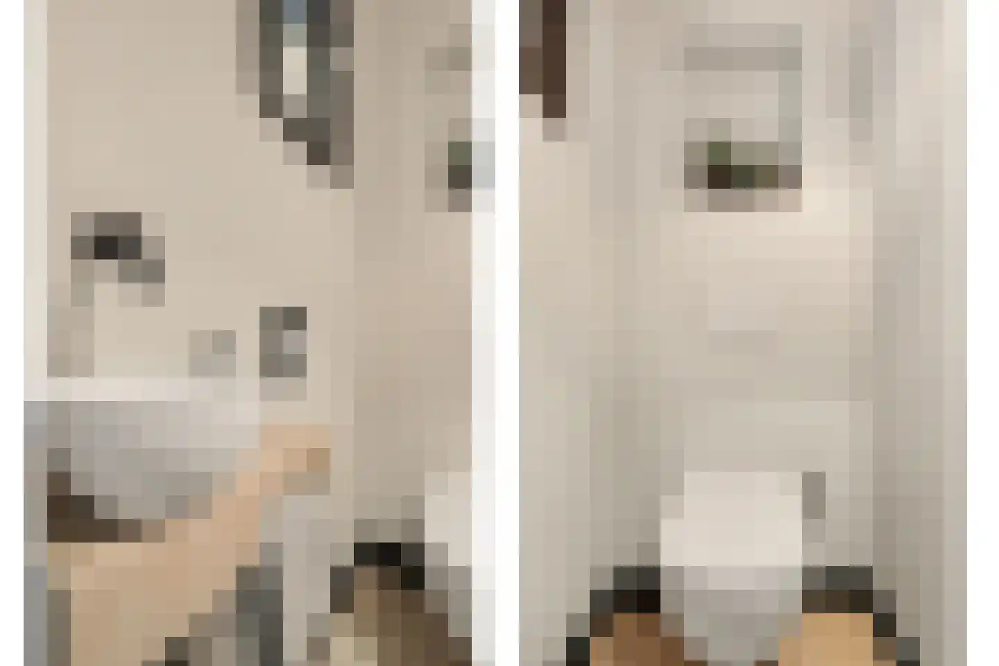De Ruyterstraat 22 Drunen thumbnail 21