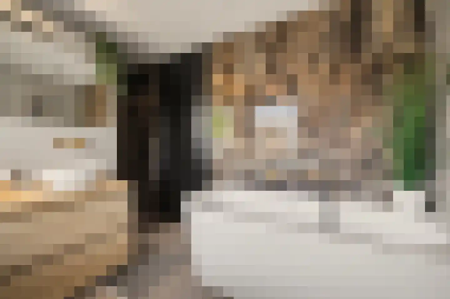 De Ruyterstraat 22 Drunen thumbnail 25