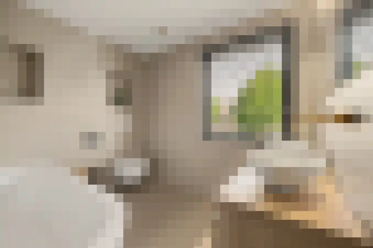 De Ruyterstraat 22 Drunen thumbnail 29