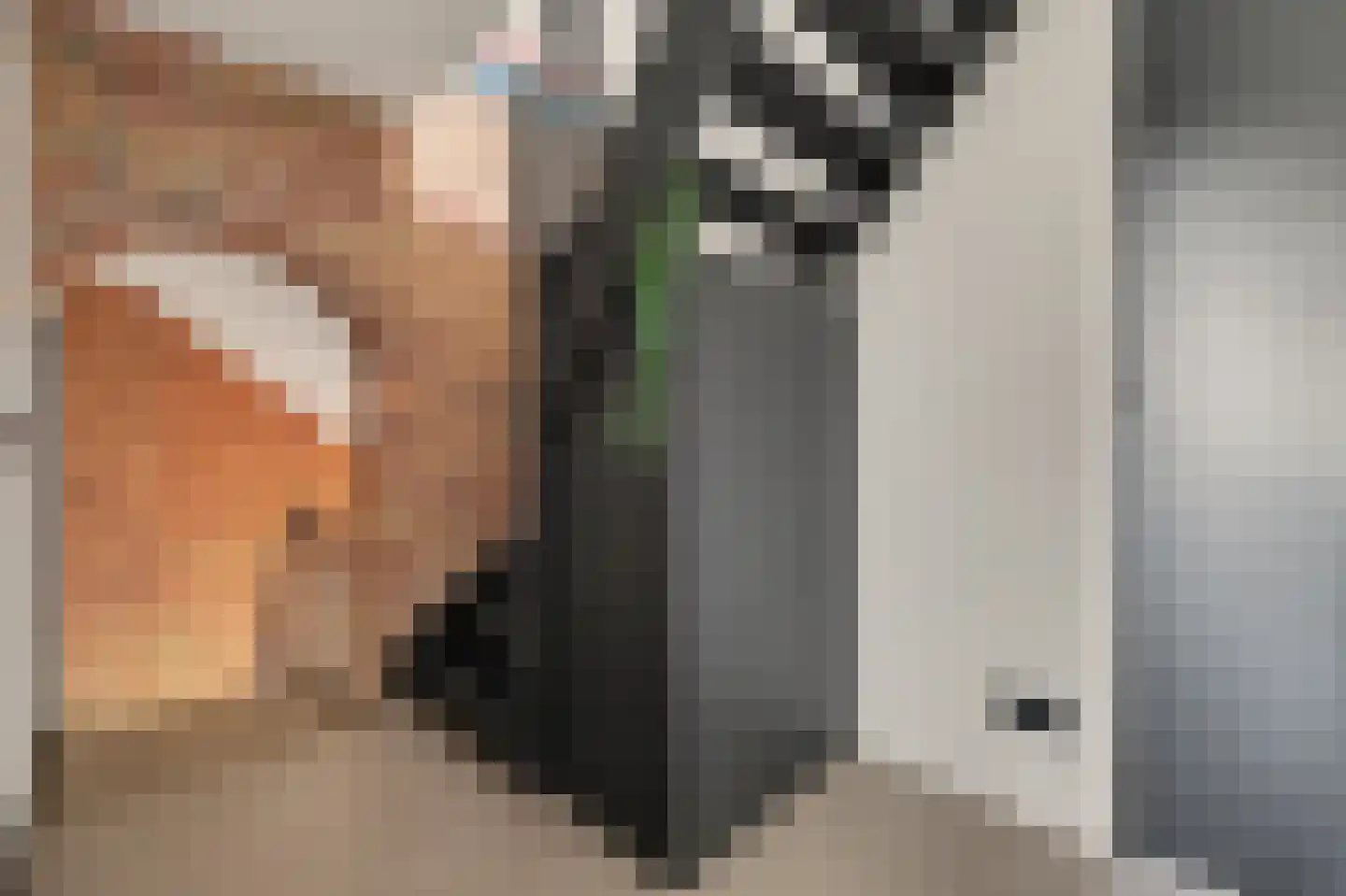 De Ruyterstraat 22 Drunen thumbnail 36