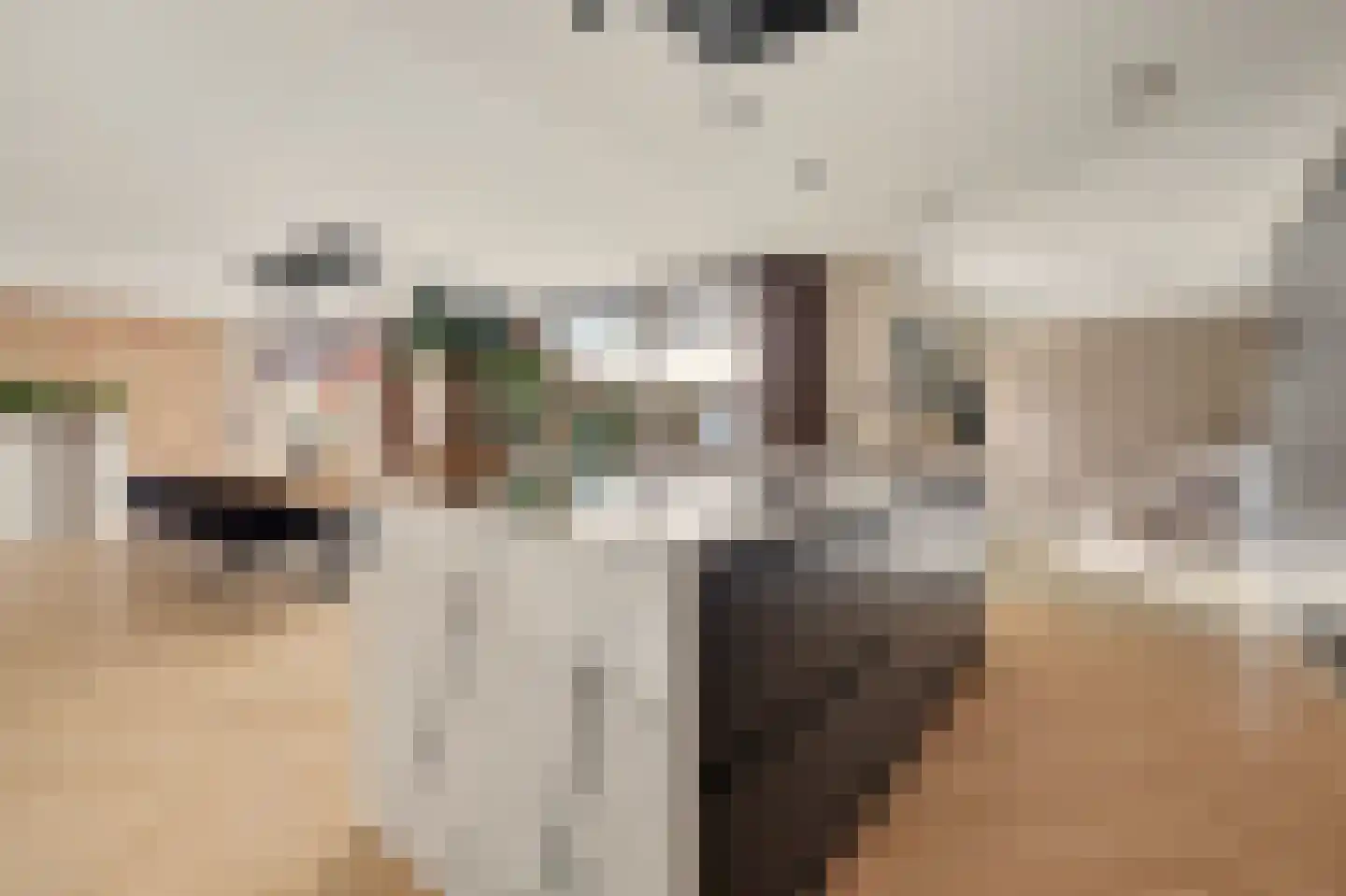 De Ruyterstraat 22 Drunen thumbnail 6