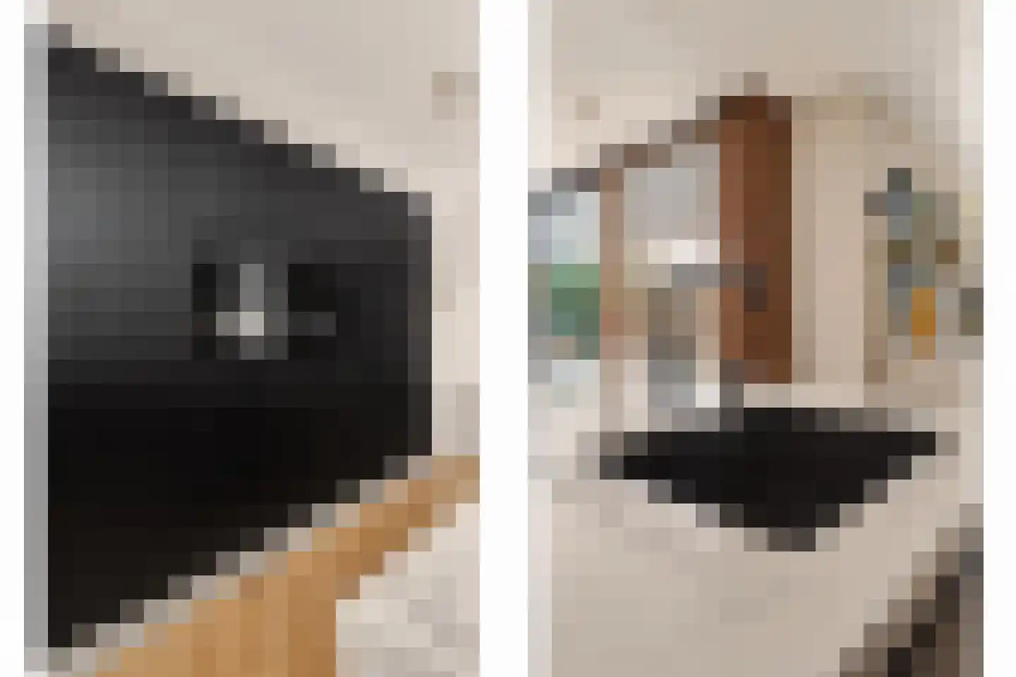 De Ruyterstraat 22 Drunen thumbnail 7