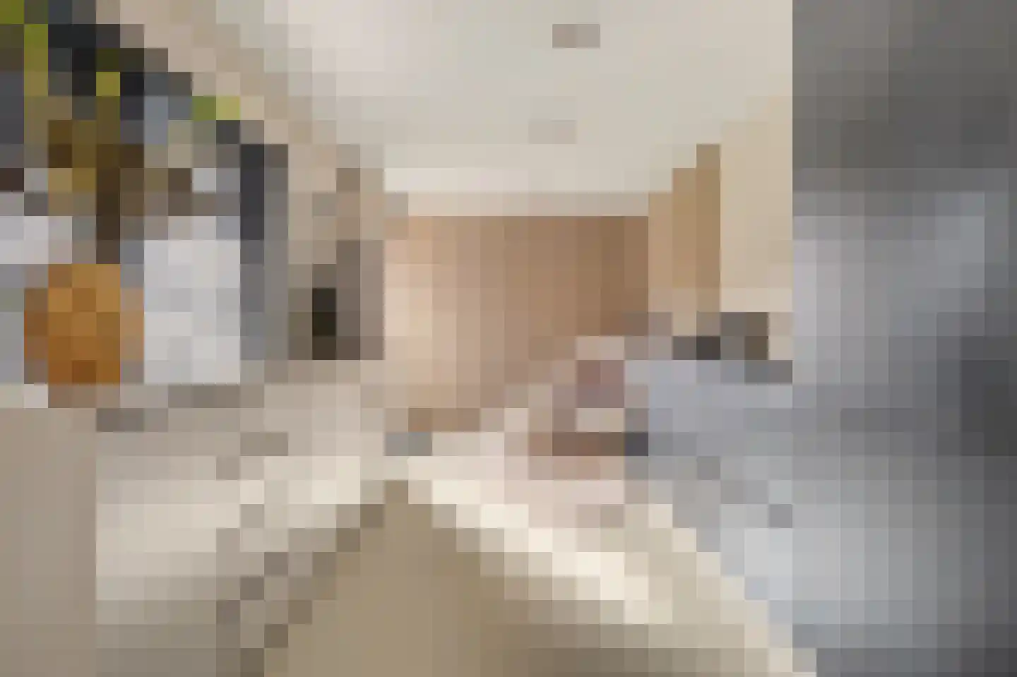 De Ruyterstraat 22 Drunen thumbnail 8