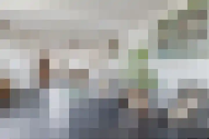 De Ruyterstraat 22 Koog aan de Zaan thumbnail 14