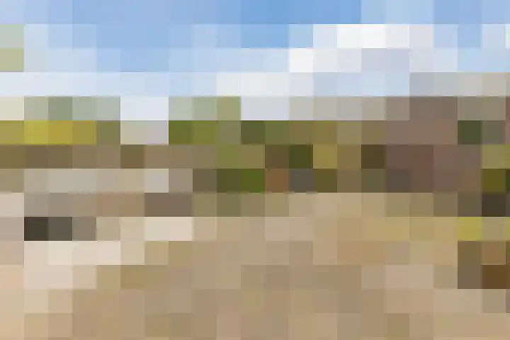 De Ruyterstraat 22 Koog aan de Zaan thumbnail 4