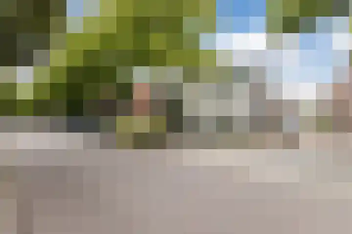De Ruyterstraat 22 Koog aan de Zaan thumbnail 51