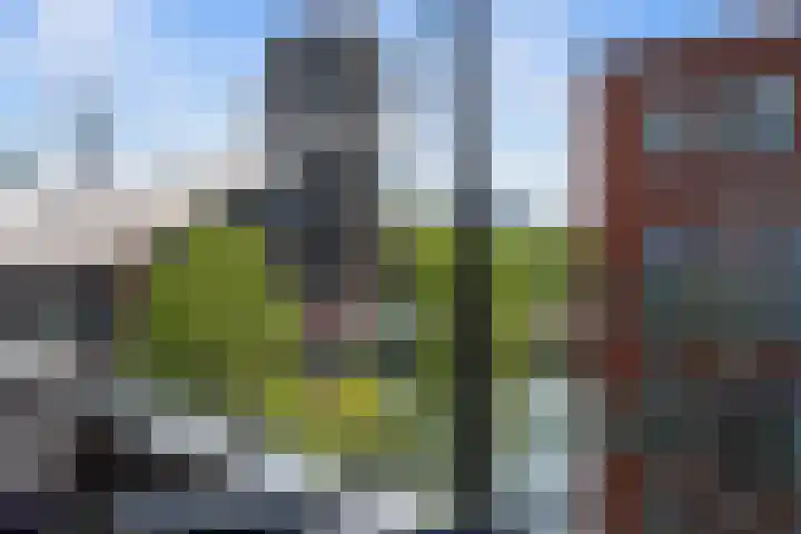 De Ruyterstraat 22 Rotterdam thumbnail 38