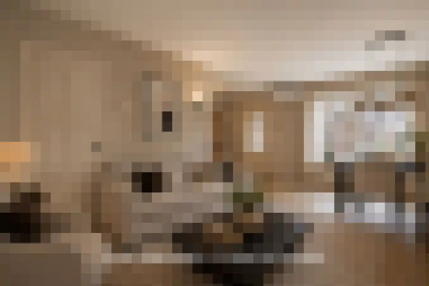 de Ruyterstraat 24 Ommen thumbnail 17