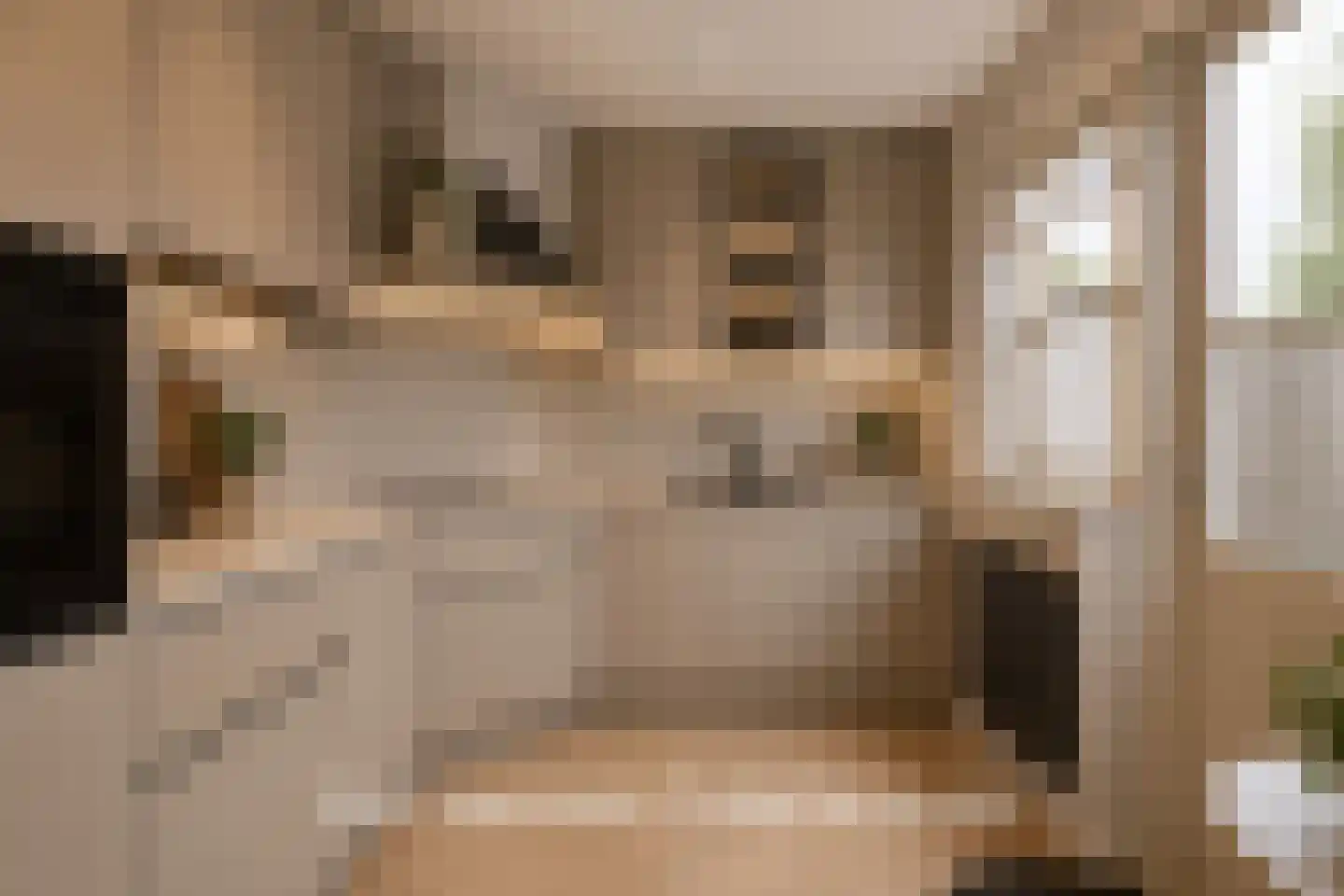 de Ruyterstraat 24 Ommen thumbnail 22