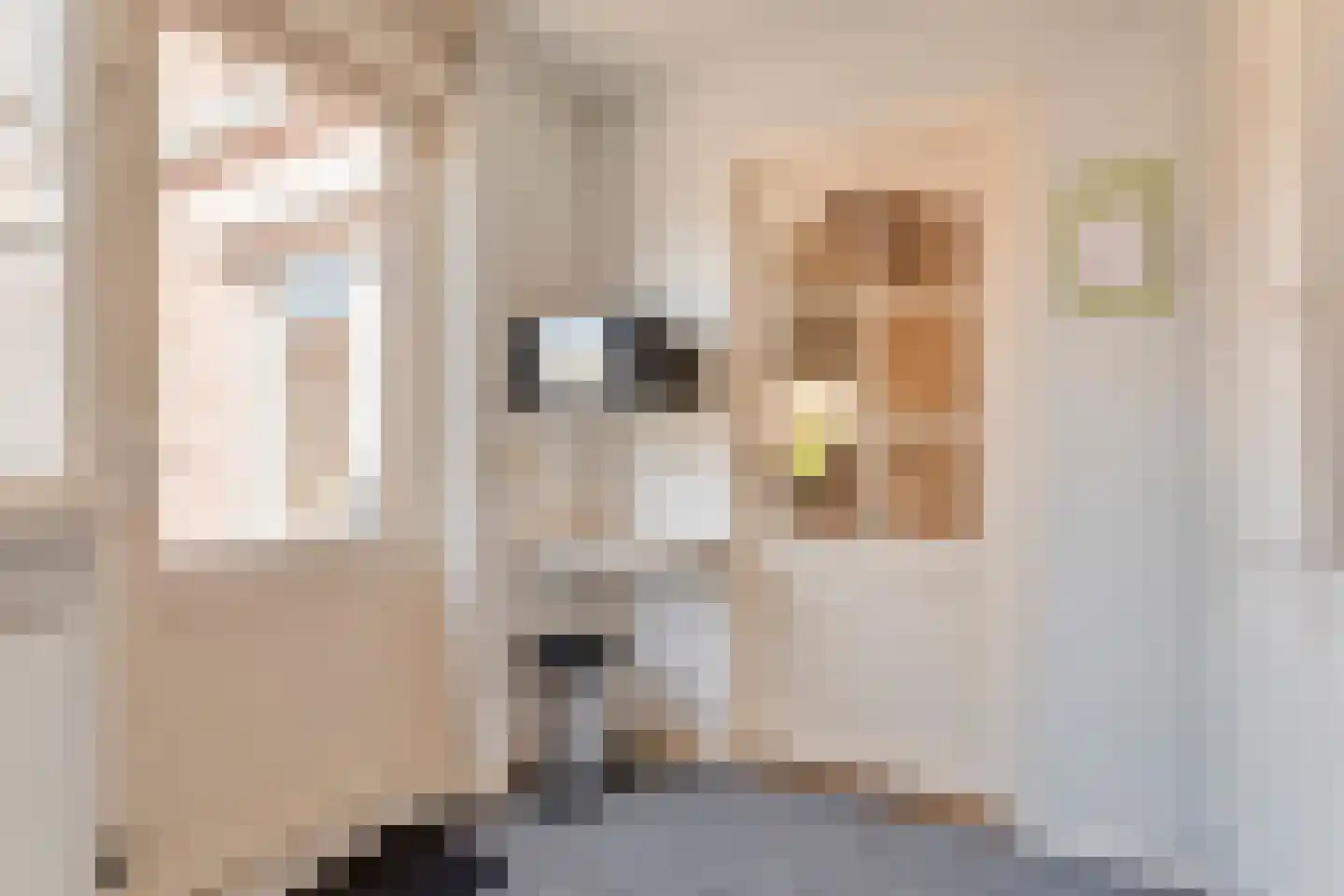 de Ruyterstraat 24 Ommen thumbnail 24