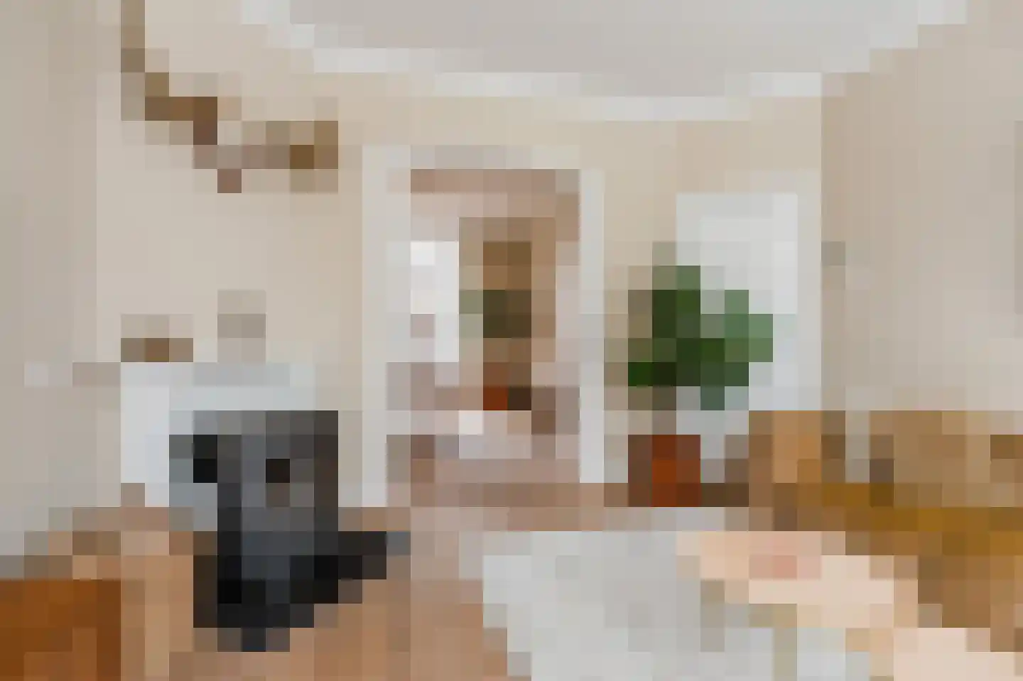 de Ruyterstraat 26 Noordwijk thumbnail 18