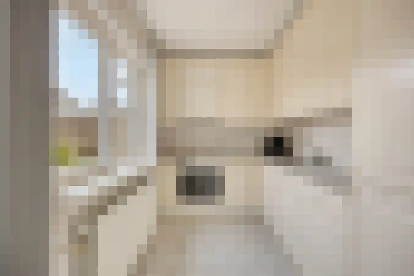 de Ruyterstraat 27 Dongen thumbnail 20