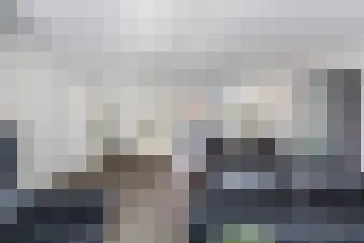 De Ruyterstraat 27 Maasdijk thumbnail 14