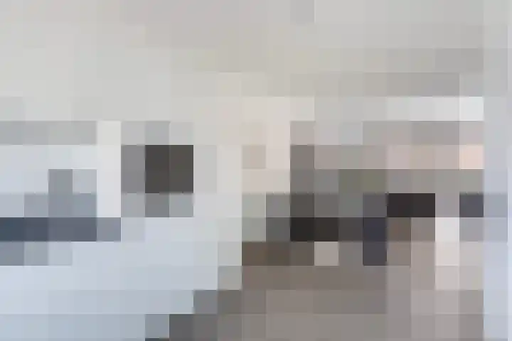 De Ruyterstraat 27 Maasdijk thumbnail 16