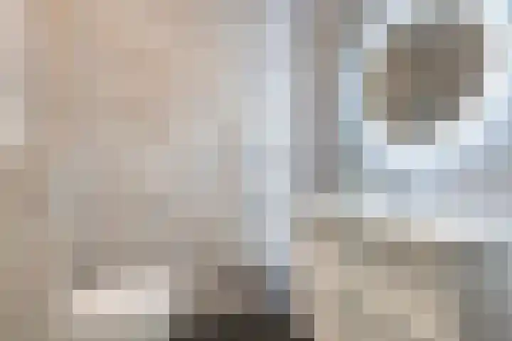 De Ruyterstraat 27 Maasdijk thumbnail 24