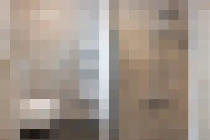 De Ruyterstraat 27 Maasdijk thumbnail 26