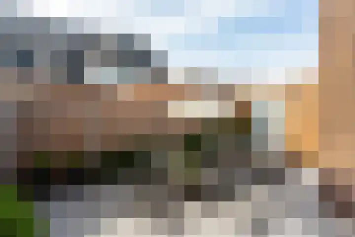 De Ruyterstraat 27 Maasdijk thumbnail 27