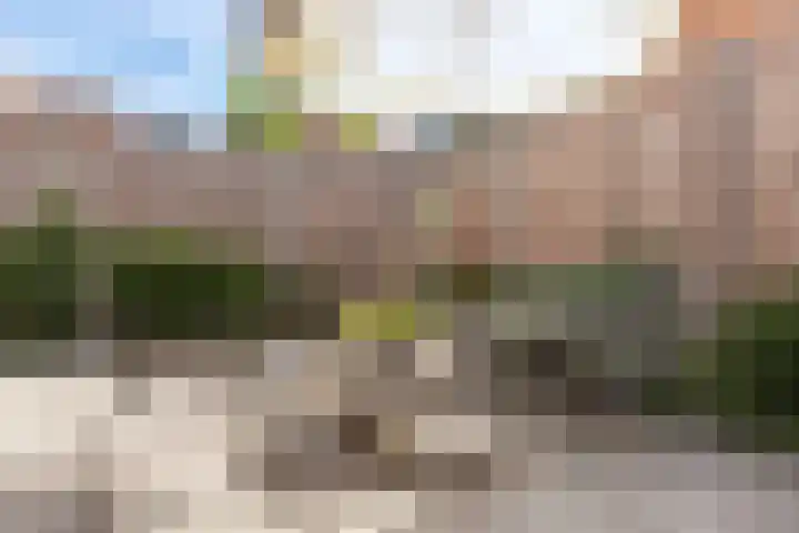 De Ruyterstraat 27 Maasdijk thumbnail 28